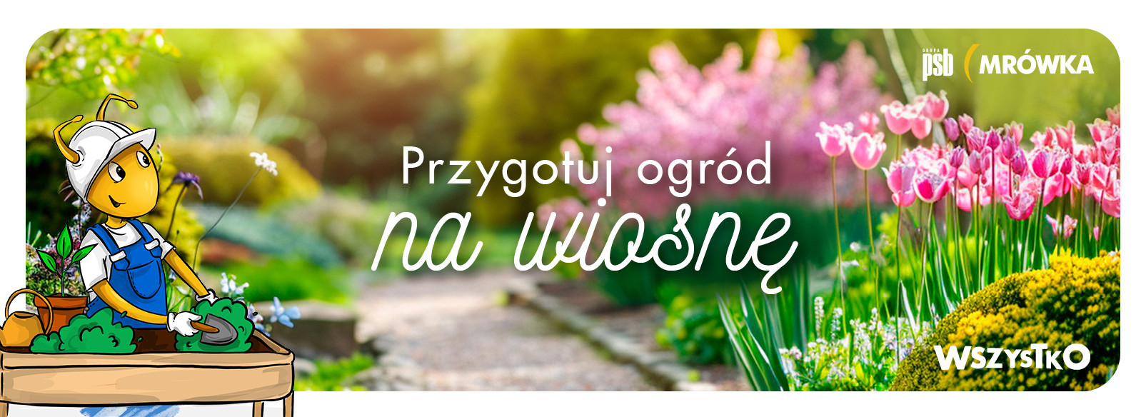 Grupa PSB mrowka Mrówka Pelplin